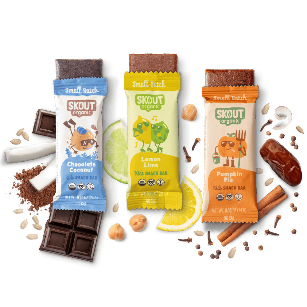 Skout Organic Small Batch Kids Bar Bundle