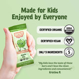 Skout Organic Small Batch Kids Fruit Bar Variety Pack