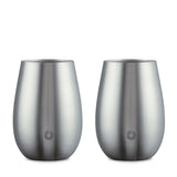 Stainless Steel Sauvignon Blanc Wine Glass, Set of 2 - Steel