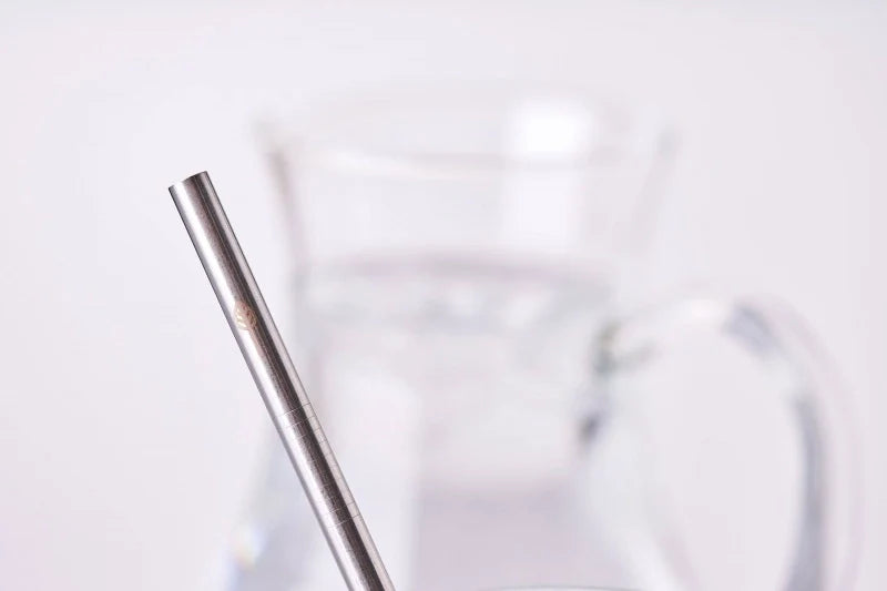 Stainless Steel Drinking Straw - Standard Bent (No bag or cleaner)