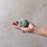 Bloom Castor Oil Shampoo & Conditioner Bar Duo - For Hair Growth