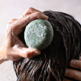 Shampoo Bar