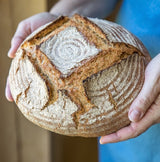 Organic Einkorn Whole Wheat Flour 2 lb.