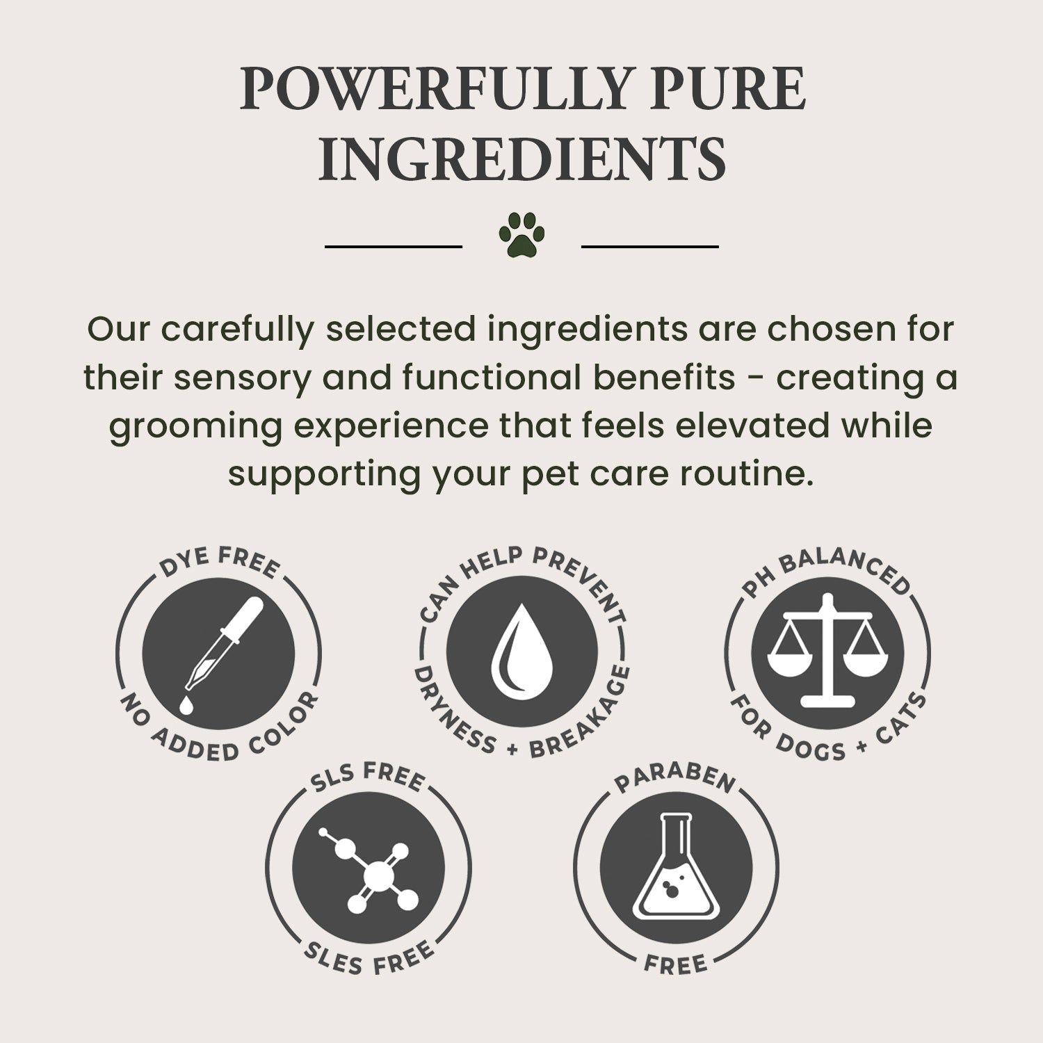 Pet Shampoo | Soothing & Deodorizing | Unscented