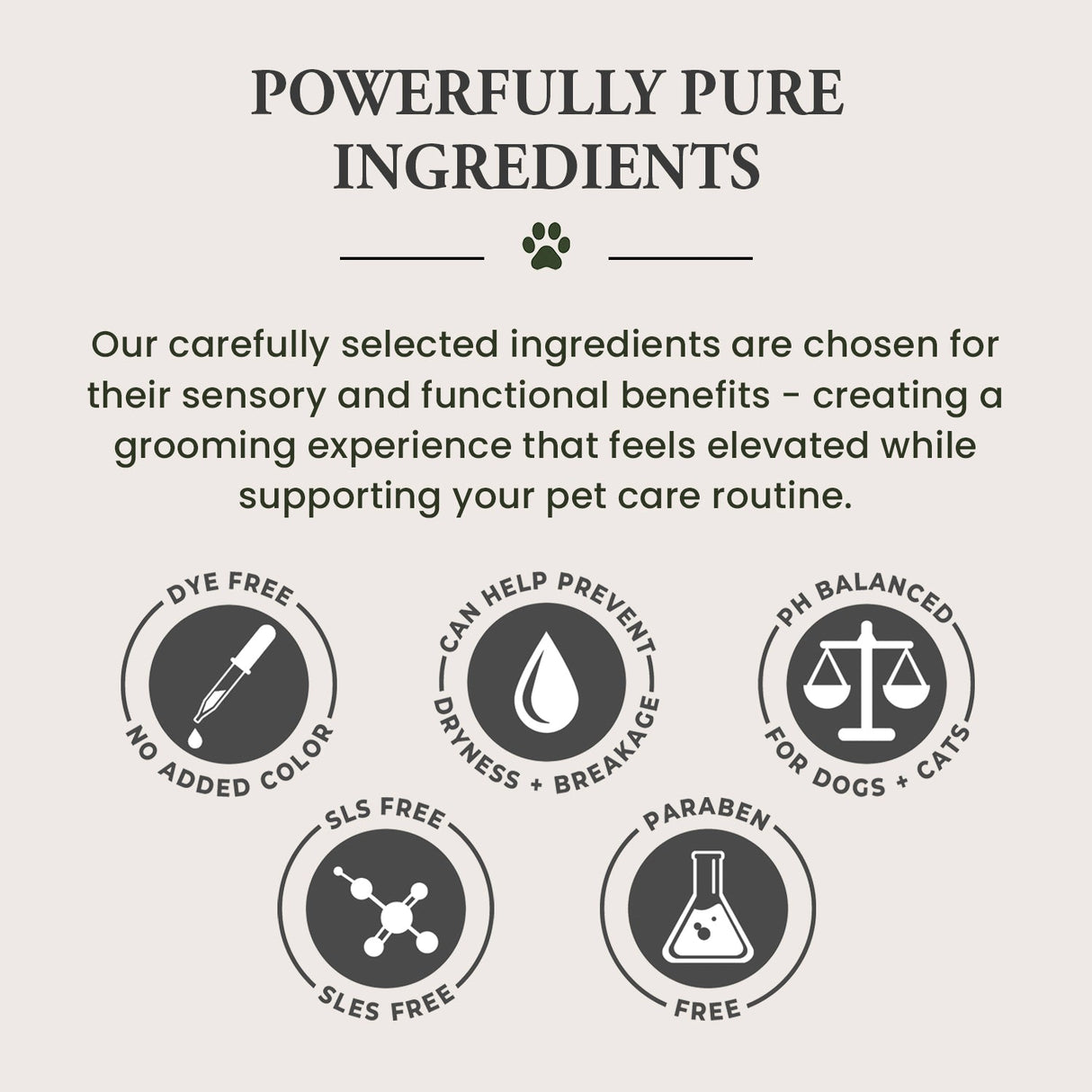 Pet Shampoo | Soothing & Deodorizing | Unscented