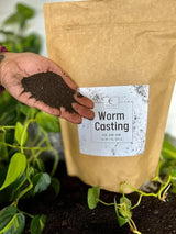 Premium Organic Worm Castings - Nature's Perfect Plant Fertilizer